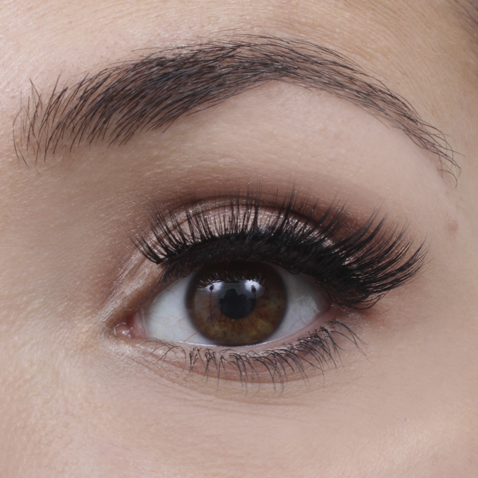 Lash Perfect In A Strip #1 