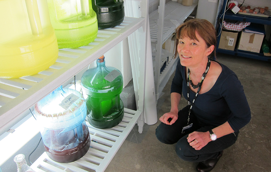 Carole Llewellyn, Professor in Applied Aquatic Bioscience at Swansea University.