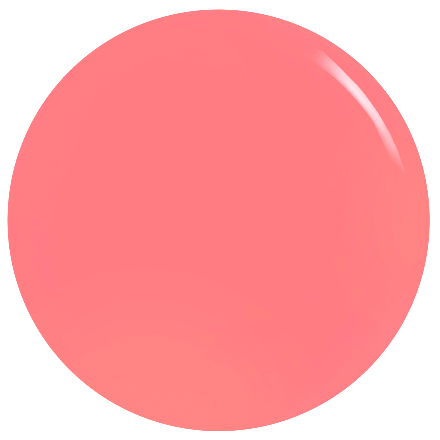 Orly Adventure Awaits