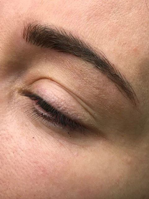 Tracie Giles Semi Permanent Makeup Undone Brow