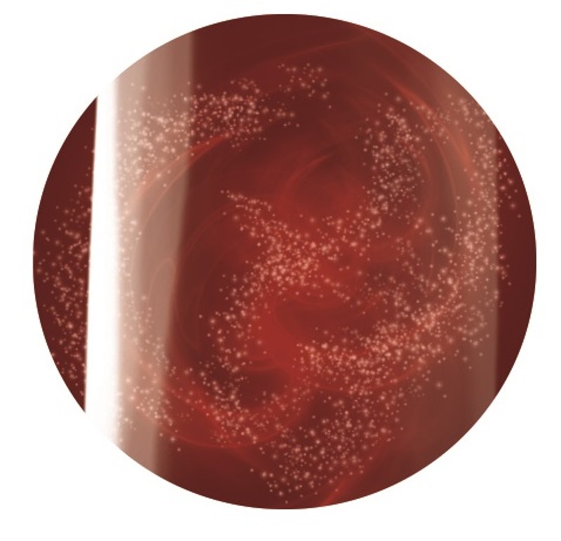 Crystal Nails' Camea Jewel Gel